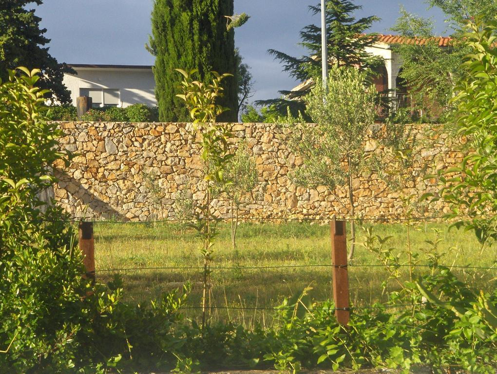 Kleine Hexe B&B Pension Pirovac Chambre photo